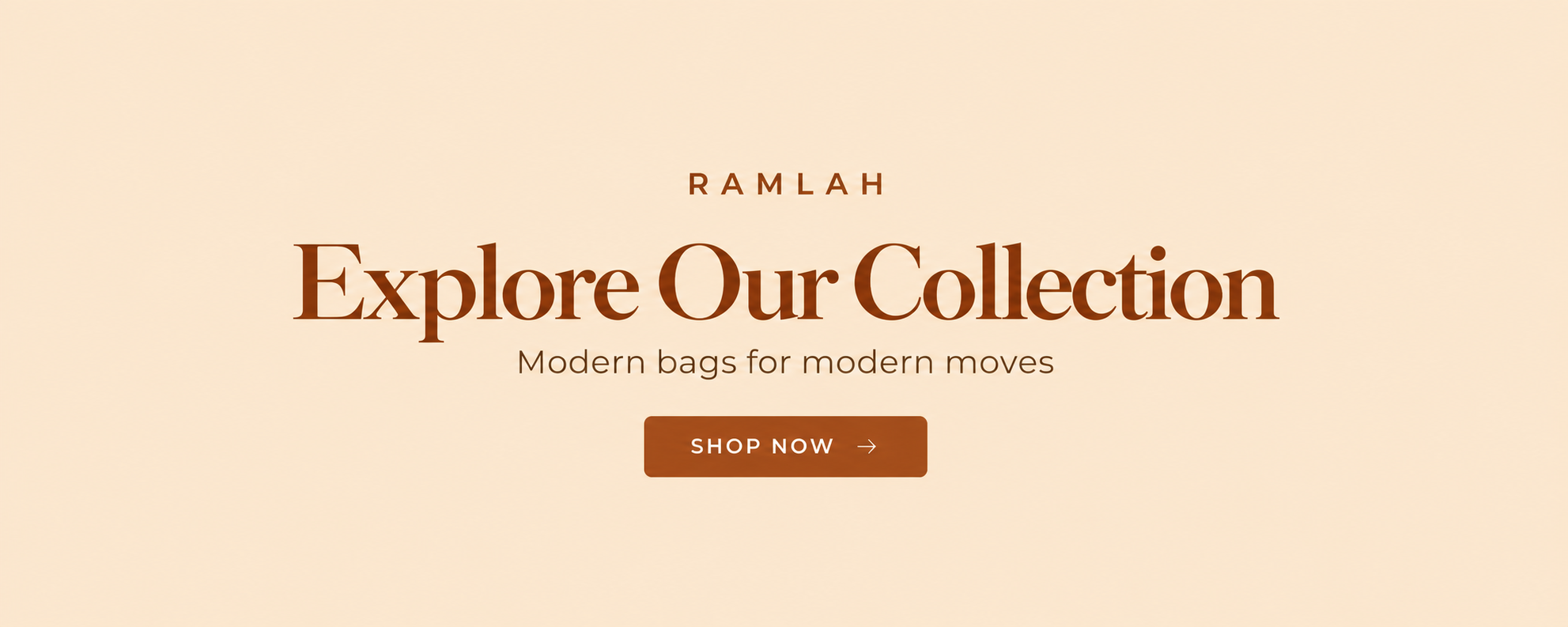 Ramlah collection of stylish bags for women